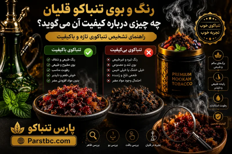 رنگ و بوی تنباکو قلیان چه چیزی درباره کیفیت آن می‌گوید؟ راهنمای تشخیص تنباکوی تازه و باکیفیت