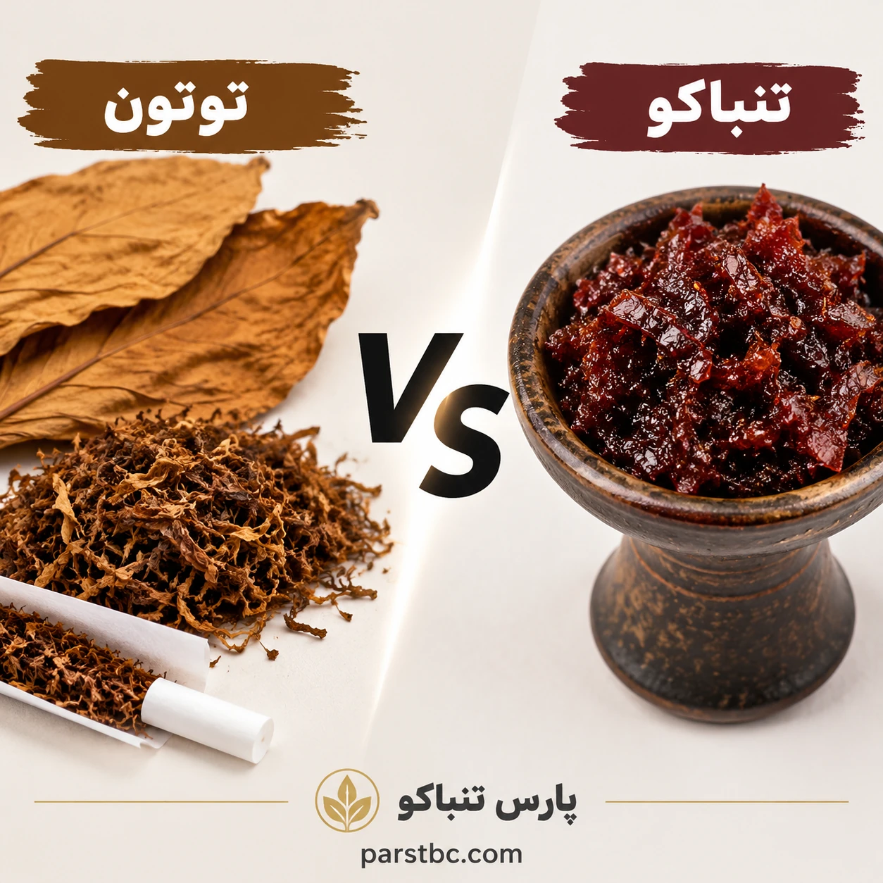 تفاوت توتون و تنباکو: کامل ترین بررسی تخصصی ترکیبات، فرآوری و نحوه مصرف